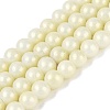 Baking Paint Glass Pearl Beads Strands DGLA-ZX001-05B-04-1