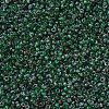 MIYUKI Round Rocailles Beads SEED-X0054-RR4507-3
