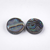 Abalone Shell/Paua Shell Beads SSHEL-T008-06A-2