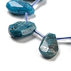 Natural Apatite Beads Strands G-Z040-A07-01-4