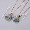 Natural Labradorite Openable Perfume Bottle Pendant Necklaces G-K295-A03-G-2