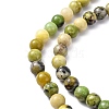 Natural Serpentine Beads Strands X-G-N166-4-3