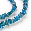 Natural Apatite Beads Strands G-F575-08-2