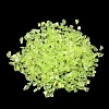 Glass Chip Beads GLAA-WH0033-43O-1