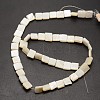 Natural Freshwater Shell Beads Strands SHEL-E355-07B-2