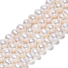 Natural Cultured Freshwater Pearl Beads Strands PEAR-N013-04C-2