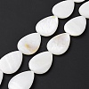 Natural Freshwater Shell Beads Strands SHEL-H001-12-2