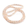 AB Color Plated Glass Beads Strands EGLA-P051-06B-B08-2