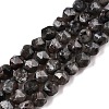 Natural Syenite Beads Strands G-T138-219-4