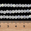 Transparent Glass Beads Strands X1-EGLA-A034-T4mm-MB19-6
