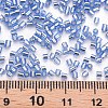 Glass Bugle Beads SEED-S032-08A-26-4