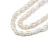 Natural Cultured Freshwater Pearl Beads Strands PEAR-N012-02F-4