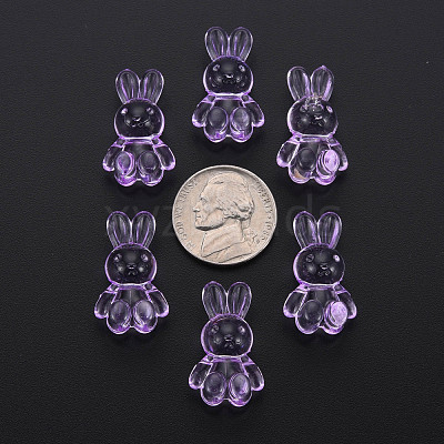 Transparent Acrylic Beads MACR-S373-81-B05-1