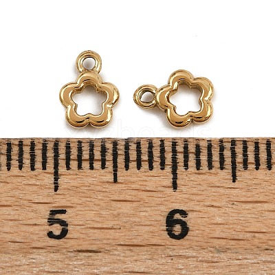 304 Stainless Steel Charms STAS-Z152-09G-1
