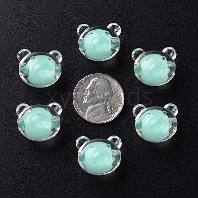 Transparent Acrylic Beads MACR-S373-122-B03-1