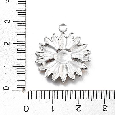 304 Stainless Steel Pendants STAS-R155-045GP-01-1