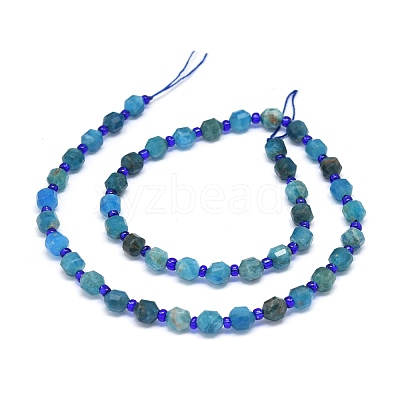 Natural Apatite Beads Strands G-O201B-04-1