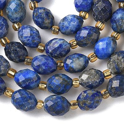 Dyed Natural Lapis Lazuli Beads Strands G-F809-A35-01-1