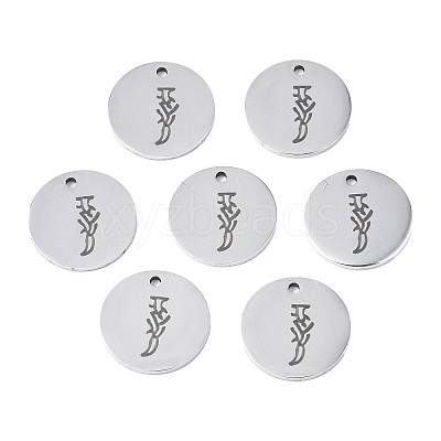 Non-Tarnish 304 Stainless Steel Charms LS-STAS-T059-26P-J-1