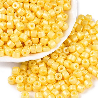 Baking Paint Pearlized Glass Seed Beads SEED-T008-03D-1