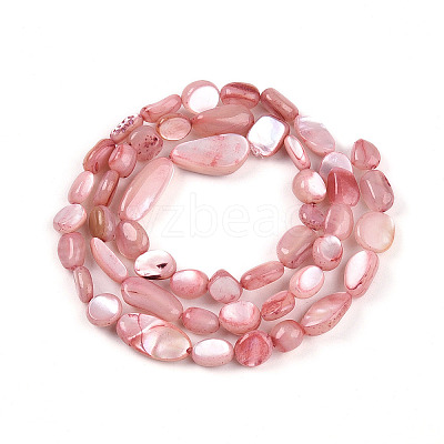 Natural White Shell Beads Strands SHEL-N036-21G-1