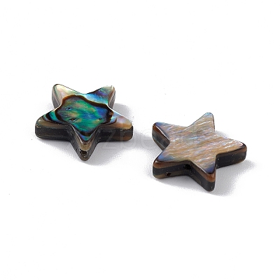 Natural Abalone Shell/Paua Shell Beads SSHEL-M021-07-1