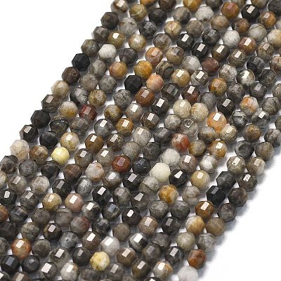 Natural Larvikite Beads Strands G-A260-A23-01-1