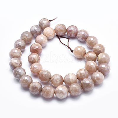 Electroplate Natural Sunstone Beads Strands G-K256-17-12mm-1