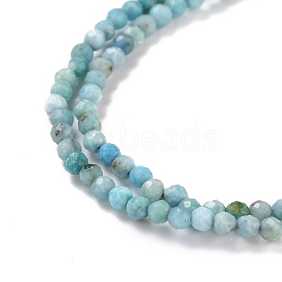 Natural Blue Opal Beads Strands LS-G-K315-B05-A-1