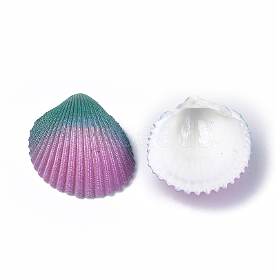 Spray Paint Natural Ark Shell Beads X-SSHEL-S261-03A-1