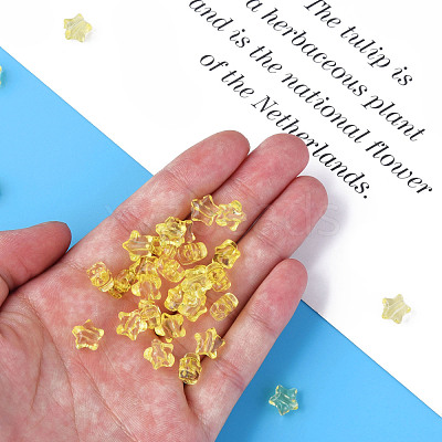 Transparent Acrylic Beads MACR-S373-45-B03-1