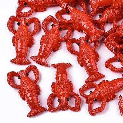 Resin Pendants X-RESI-R426-01-1