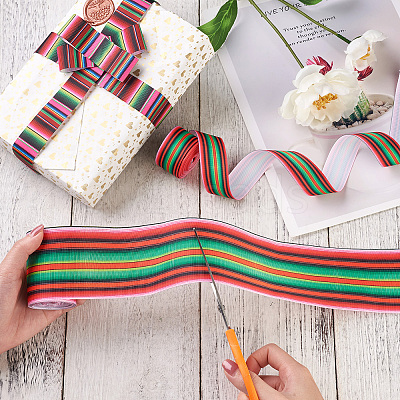 2Rolls 2 Styles Stripe Pattern Printed Polyester Grosgrain Ribbon OCOR-TA0001-37J-1