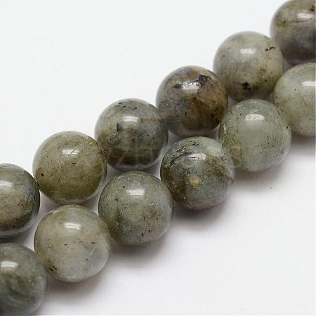 Natural Labradorite Bead Strands G-O155-05A-8mm-1