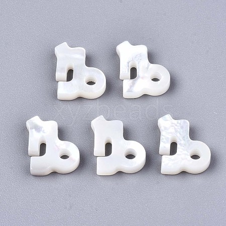 Natural White Shell Beads SSHEL-ZX004-02K-1