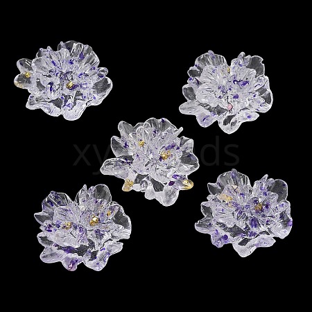 Transparent Resin Cabochons RESI-E049-02B-1