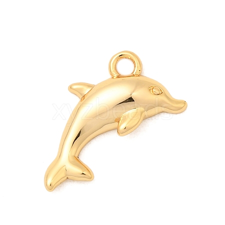 Brass Charms KK-C117-01A-G-1