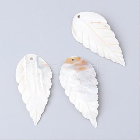 Freshwater Shell Big Pendants SHEL-S249-10-1