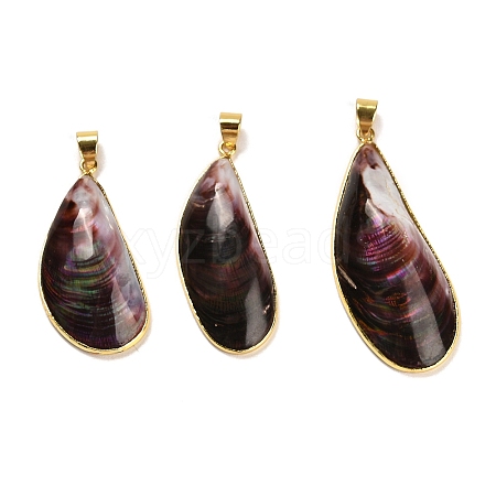 Natural Shell Pendants SHEL-D080-01G-1