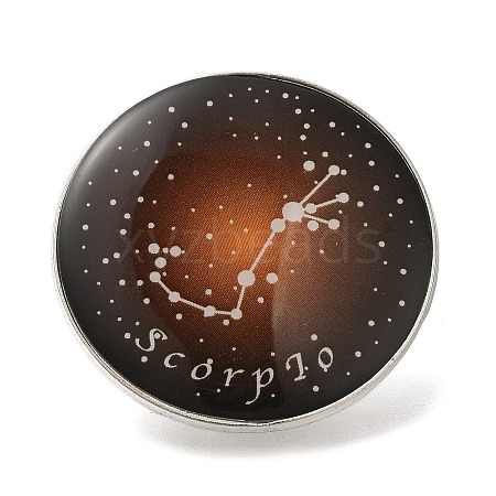 Twelve Constellation Creative Alloy Badges Constellation Brooches JEWB-S033-01P-H-1