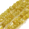 Natural White Shell Dyed Beads Strands BSHE-Z005-03F-1