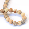 Frosted Natural Picture Jasper Round Bead Strands G-E334-12mm-26-3