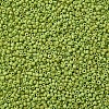 12/0 Glass Seed Beads X1-SEED-A010-2mm-44-2