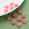 Transparent Acrylic Beads MACR-S373-26E-06-6