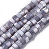 Natural Trochus Shell Beads Strands SHEL-S278-027J-1