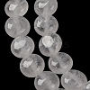 Natural Quartz Crystal Beads Strands G-T047-A01-01-4