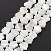 Natural Trochid Shell/Trochus Shell Beads Strands SSHEL-T014-43B-02-2