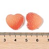 Imitation Candy Food Style Resin Cabochons RESI-R461-01L-3