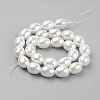 Shell Pearl Beads Strands BSHE-K010-03B-2