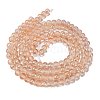Frosted Transparent Glass Bead Strands GLAA-P065-6mm-05-5